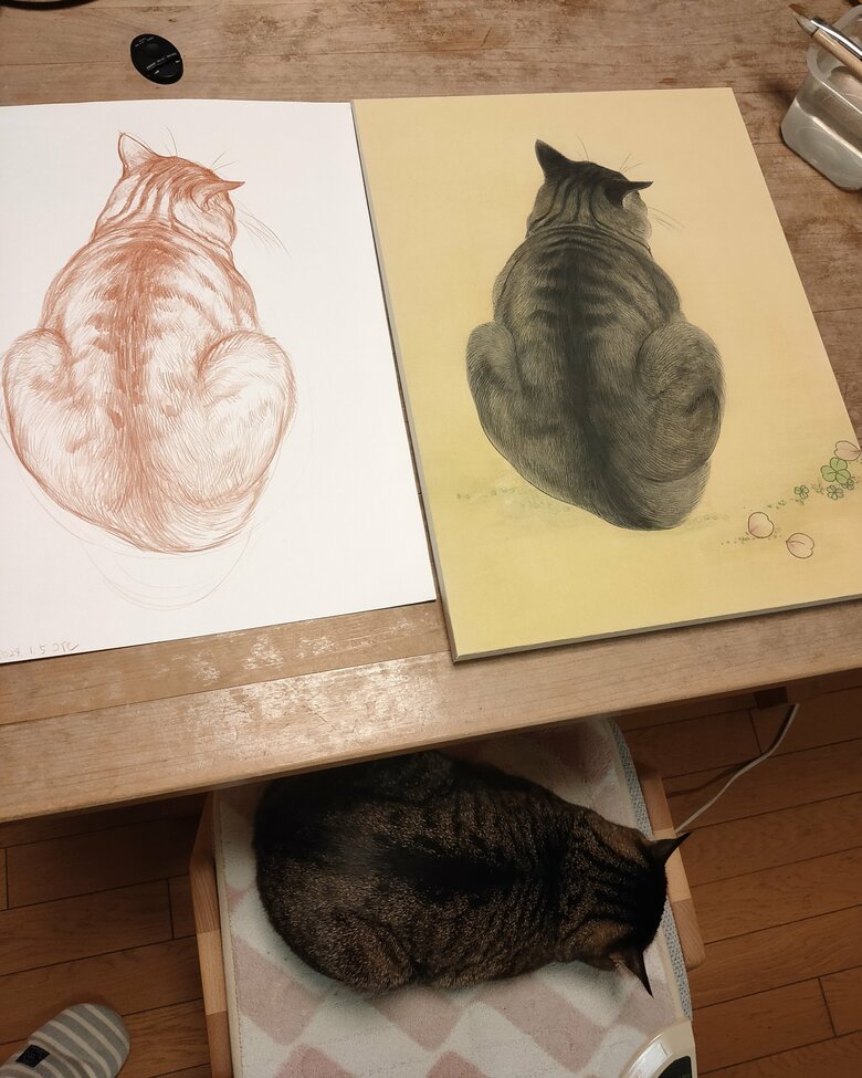 椅子を占領するコイモちゃん