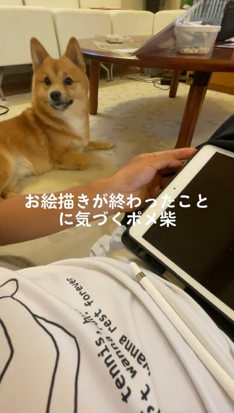 もなかくんがボタンのわずかな音を聞いてムクッと起き上がる