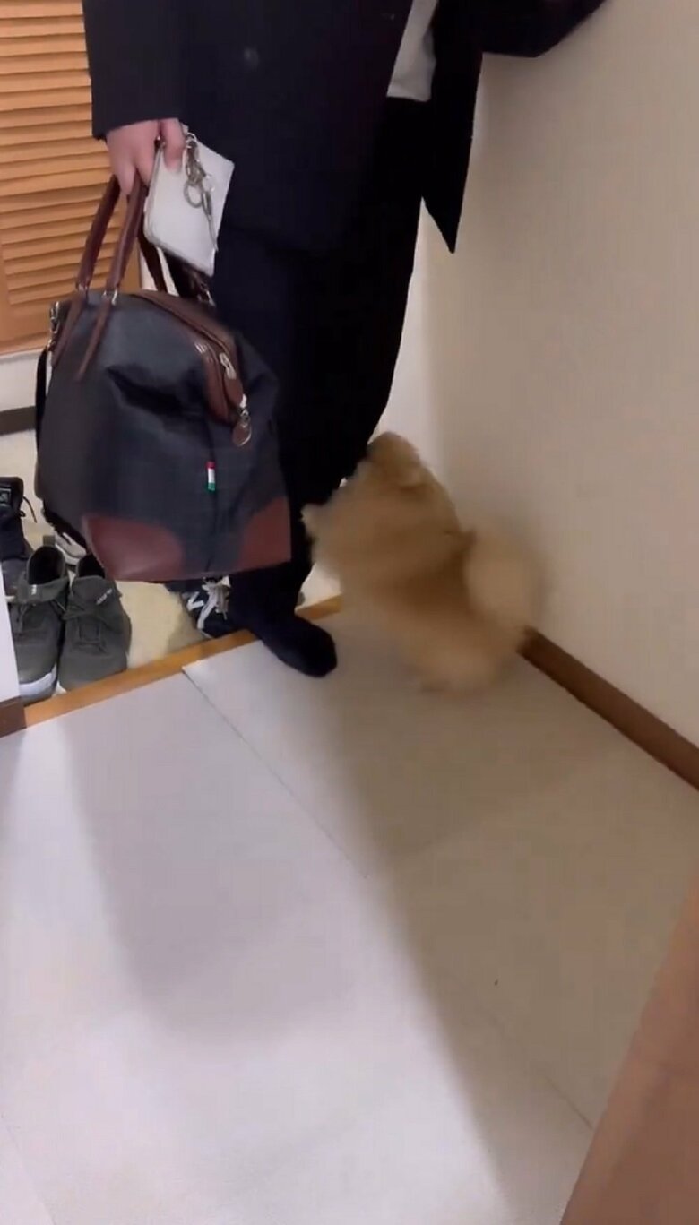 パパさんは1歩ずつゆっくりと進む