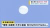 宮城県の上空に浮かぶ謎の白い物体…気球？誰が？何のために？ ヘリコ…