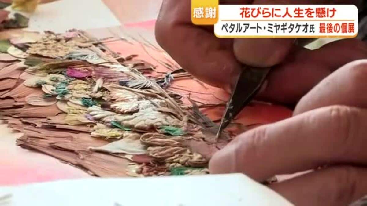 ペタルアート 垂水の82歳アーティストが描く「花びらの絵」30年の軌跡