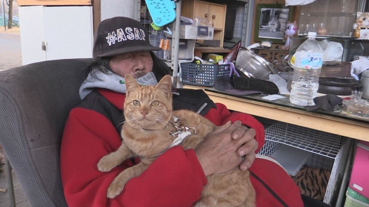 1か月で5千万円 4万円に ネコと暮らすホームレス男性は元社長 野良猫になっても生きていける社会を