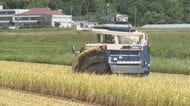 宇和島で早くも三間米の収穫開始も農家は“売るほど赤字”「ＪＡの買取り価格半分」と苦境に【愛媛】