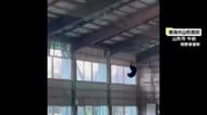小学校と高校にクマ出没 山形市で高校の室内練習場に入りネットをよじ登る姿 南陽市では小学校の玄関の扉が割られる