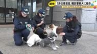 あの“デコピン”と同じ犬種等…石川県警が21匹を『嘱託警察犬』に任命 ミニチュアダックスフンドの姿も