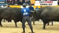 「五感で感じて感動」迫力満点の真剣勝負にＧＷ客も熱狂！宇和島闘牛５月場所で大きな歓声が響く【愛媛】