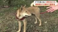 犬のマーキングでクマを追い払え！家の周りを円周上に散歩、縄張り張って被害防止へ　秋田・由利本荘市