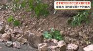 鹿児島・奄美地方　降り続く雨で土砂崩れも　奄美南部は１１日明け方にかけても土砂災害に十分注意を
