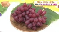 糖度はシャインマスカット超え！皮ごと食べられる赤ブドウ　福井県産の新品種がお披露目　10月1日から愛称募集　来年夏以降、店頭に
