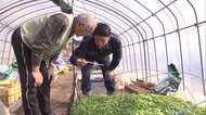 津波で亡くした父の遺志を継ぐ息子の覚悟…祖父の経験から学び挑む農業