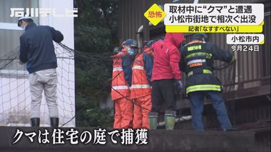 その距離5m…女性記者が取材中にクマと遭遇「焦ってしまいゆっくり後ずさりなんて出来なかった」