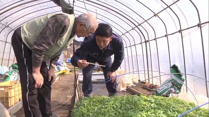 津波で亡くした父の遺志を継ぐ息子の覚悟…祖父の経験から学び挑む農業