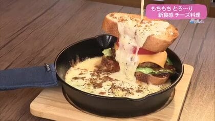 もちもちとろ〜りチーズ料理【トレリン】