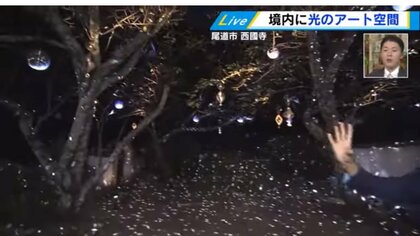 お寺にミラーボール!? 幻想的な光のアートに浸った後は地元の食と酒　尾道で秋の夜長を楽しんで