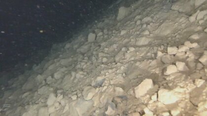 【独自】水中ドローンが捉えた「海底地滑り」の“痕跡”　能登半島地震で3分後に津波…富山湾の海底に変化