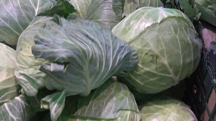 続く値上げラッシュ…そんな中の売れ筋は？2～3割安の魚や値下がり野菜 100均節約グッズも 