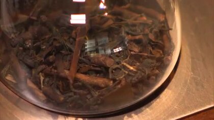 岡山後楽園近くに新スポット…茶どころ美作などの茶販売と茶房で一服　専門店２６日オープン【岡山】