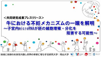 牛における不妊メカニズムの一端を解明~子宮内microRNAが胚の細胞増殖・分化を阻害する可能性~〔名古屋大学、岡山大学〕