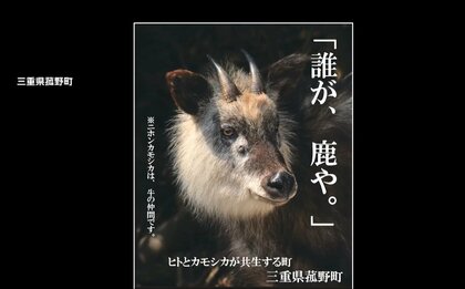ニホンカモシカは鹿じゃない！臆病で俊敏性のない“牛”の仲間…畑荒し