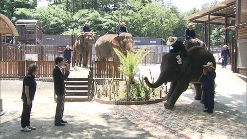 秋篠宮さまがゾウと挨拶　「市原ぞうの国」訪問　「動物との距離が近いですね」　鼻をあげるゾウにタイ式の挨拶