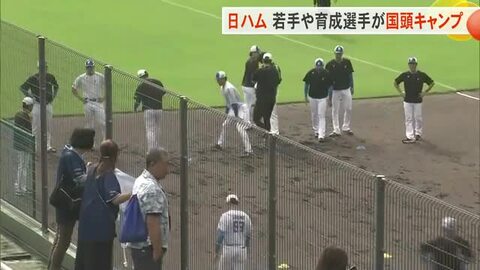 プロ野球日ハムの若手や育成選手が国頭村で秋季キャンプ
