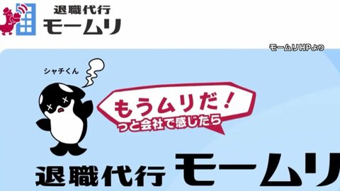 依頼者1人紹介ごとに「モームリ」側へ1万6500円の紹介料か…男性弁護士2人を書類送検へ　紹介料とは別の名目で振り込みか