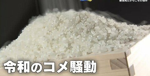 物価高に待った！イズミ独自のＰＢ戦略「ゆめイチ」　最後発だからこその強み　来年はアイテム数120超に