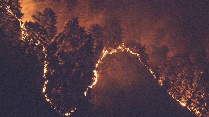 4月22日に発生した大槌町の山林火災