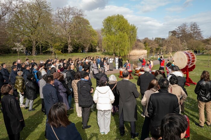 リージェンツパークでの花見イベントには100人以上が集まった（2026年3月30日）