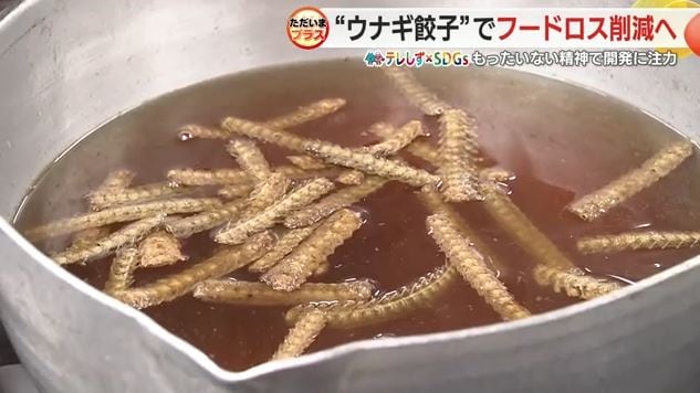 骨の加工品も販売