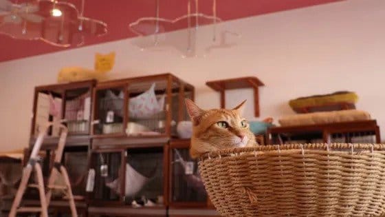 2号店の店内の様子