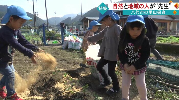 保育園の畑