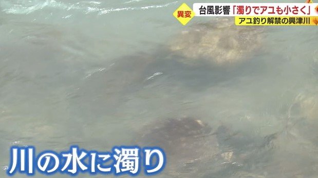 川に水に濁り