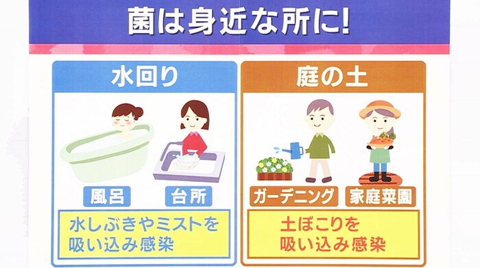 「旬感LIVE とれたてっ!」より