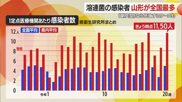 「溶連菌」感染者数の全国平均と山形県内平均のグラフ