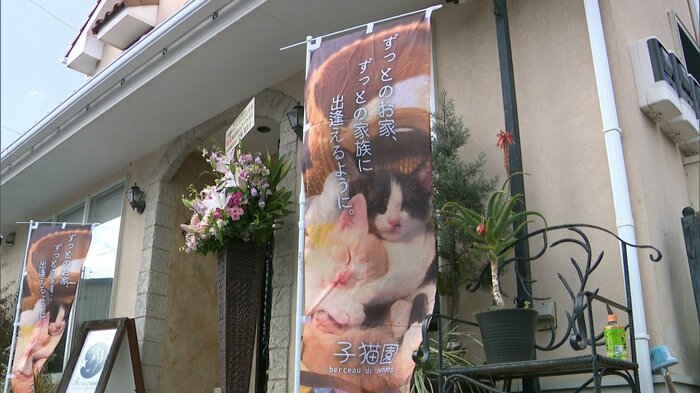 母親の美容院兼自宅前に設置されたのぼり