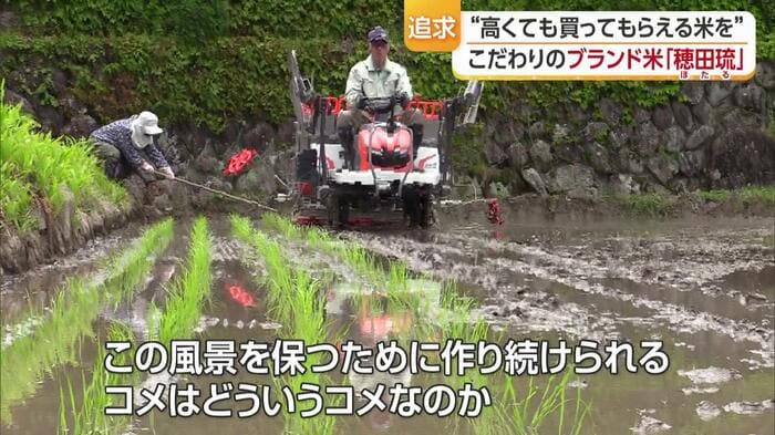 棚田でのコメ作りに取り組む坂本さん