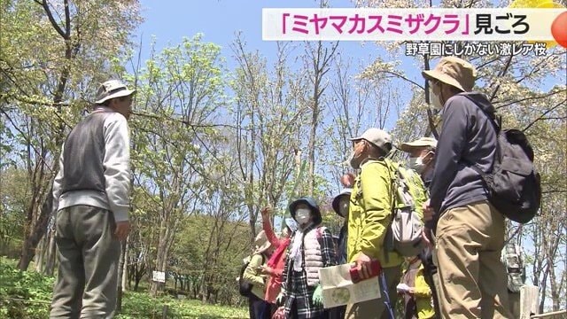 青空の下でスタッフの説明を聞く秋田からの団体客のみなさん
