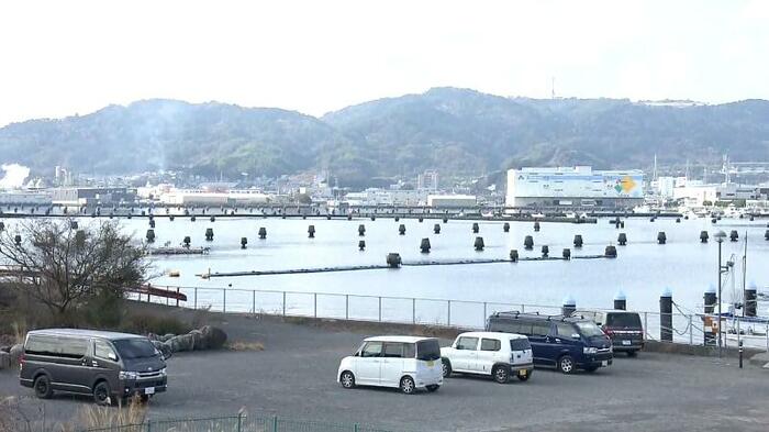 折戸湾の中を埋め尽くす謎物体