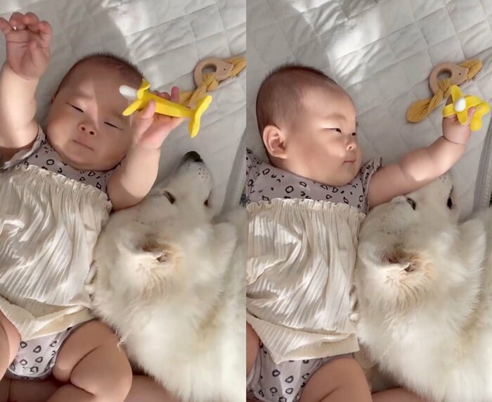 ヨリちゃんとすずらんちゃんの現在の様子(提供:つくしとすずらんさん)