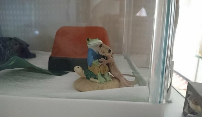 初めて撮影したというヤモヤモちゃんの写真