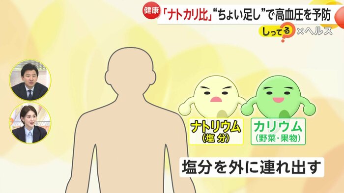 カリウムが塩分を外に連れ出す働きに着目