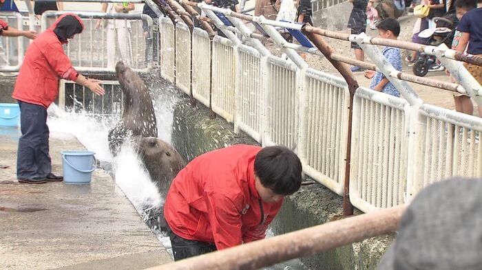 動物たちがバシャ!っと水しぶきをかけてくれる