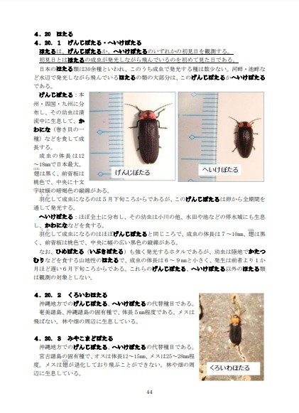マニュアルの一部 出典:気象庁