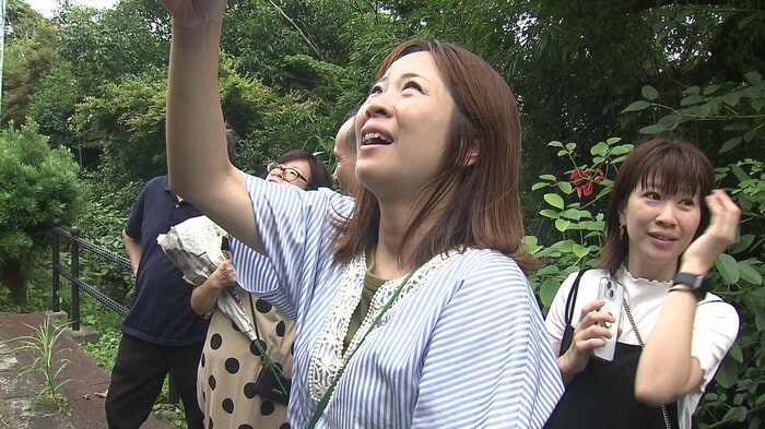 もうすぐ開花?!存在感抜群のリュウゼツランに近くを通りかかった観光客も目を奪われていた