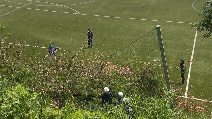 樹木医と警察による実況見分　静岡・御殿場市　7月24日