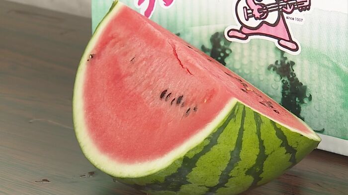 県内最大のスイカ産地「大栄西瓜」