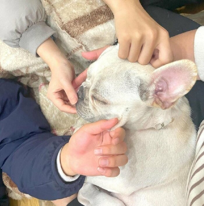 家族みんなと仲良し みんなにモミモミされているブン太くん