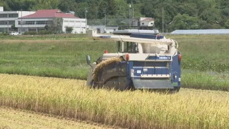 宇和島で早くも三間米の収穫開始も農家は“売るほど赤字”「ＪＡの買取り価格半分」と苦境に【愛媛】｜FNNプライムオンライン