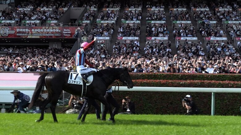 【クラシック3冠最終戦 菊花賞・G1】史上初の偉業へ ロブチェン×松山弘平騎手が前人未到の牡牝3冠制覇に挑む|FNNプライムオンライン